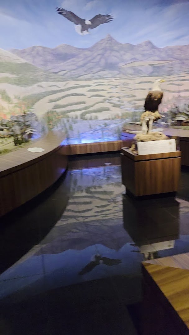 Outdoor walkways pass fountains and storefronts.
