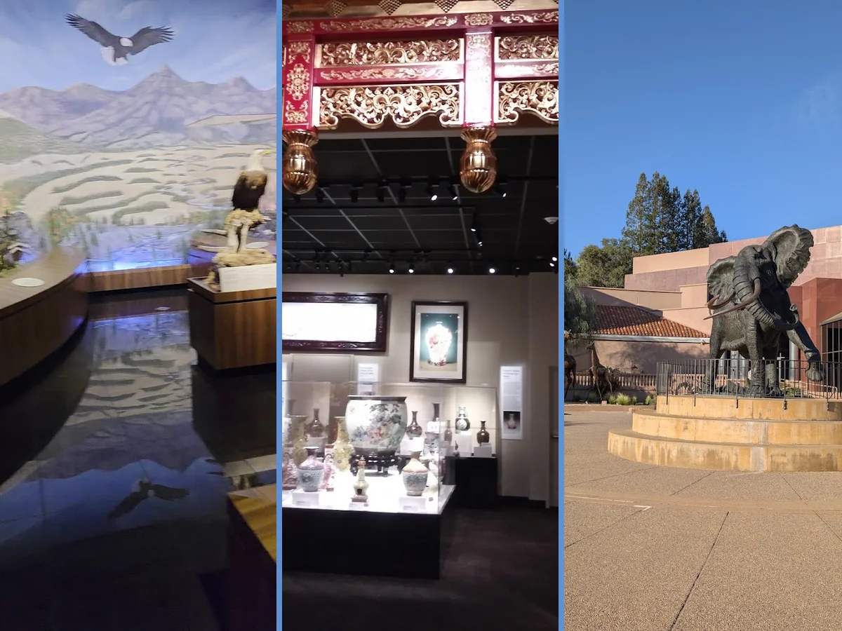Outdoor walkways pass fountains and storefronts.
