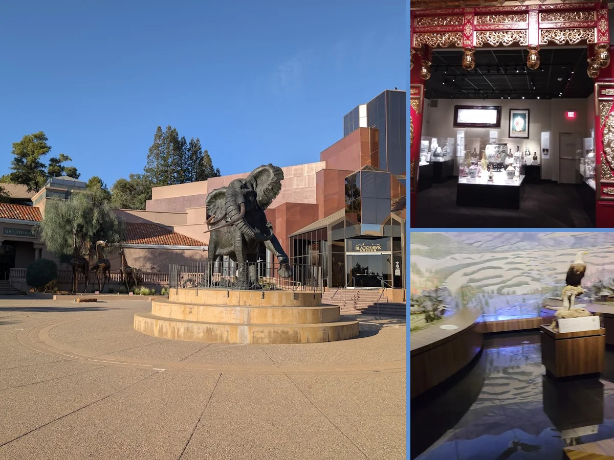 Shops line a landscaped plaza with ponds.